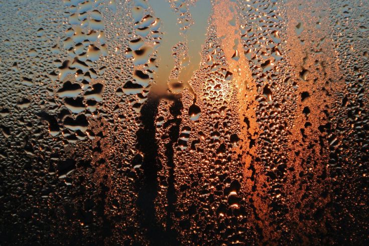 Kondenswasser bildet sich oft an Stellen, an denen große Temperaturunterschiede herrschen – besonders an Fenstern.