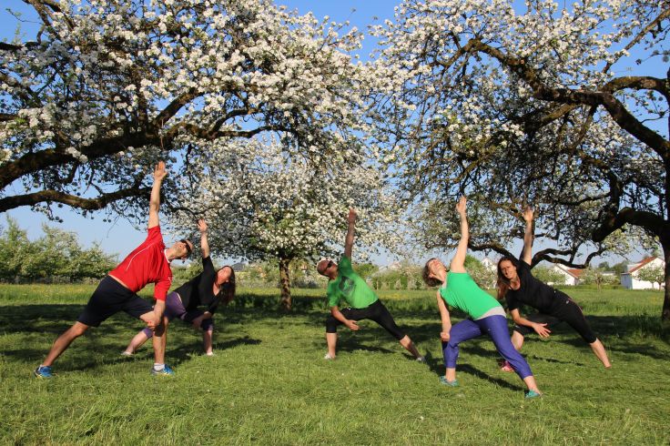 Yoga, Qigong und Power-Workouts
