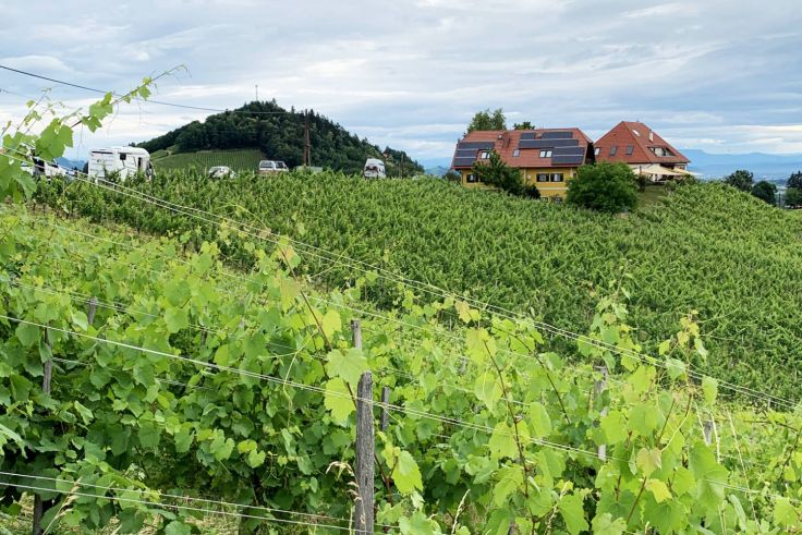 Das Weingut Kögl liegt eingebettet in die Hügel der südsteirischen Weinstraße. 