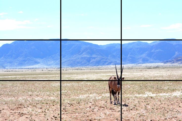 Das Gestaltungsmuster folgt der Drittel-Regel. Die obere Querlinie teilt Horizont und Landschaft im Verhältnis 2:1. Die Antilope befindet sich auf der Schnittkante zweier Linien. 