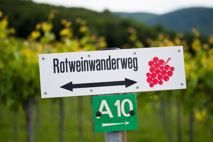 35 km langer Rotweinwanderweg von Bad Bodendorf bis zur Ruine der Burg Are