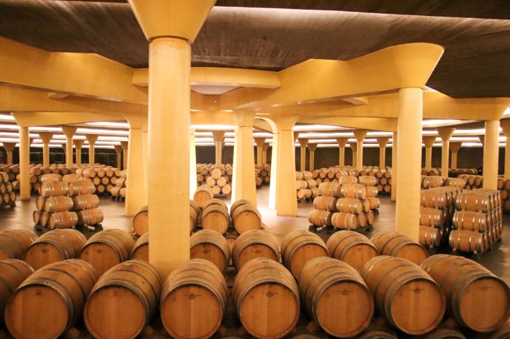 Im Weinkeller des Weinmuseums Vivanco