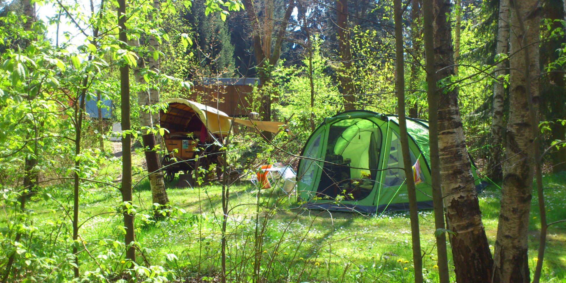 <span>10 naturnahe Waldcampingplätze in Deutschland</span>
