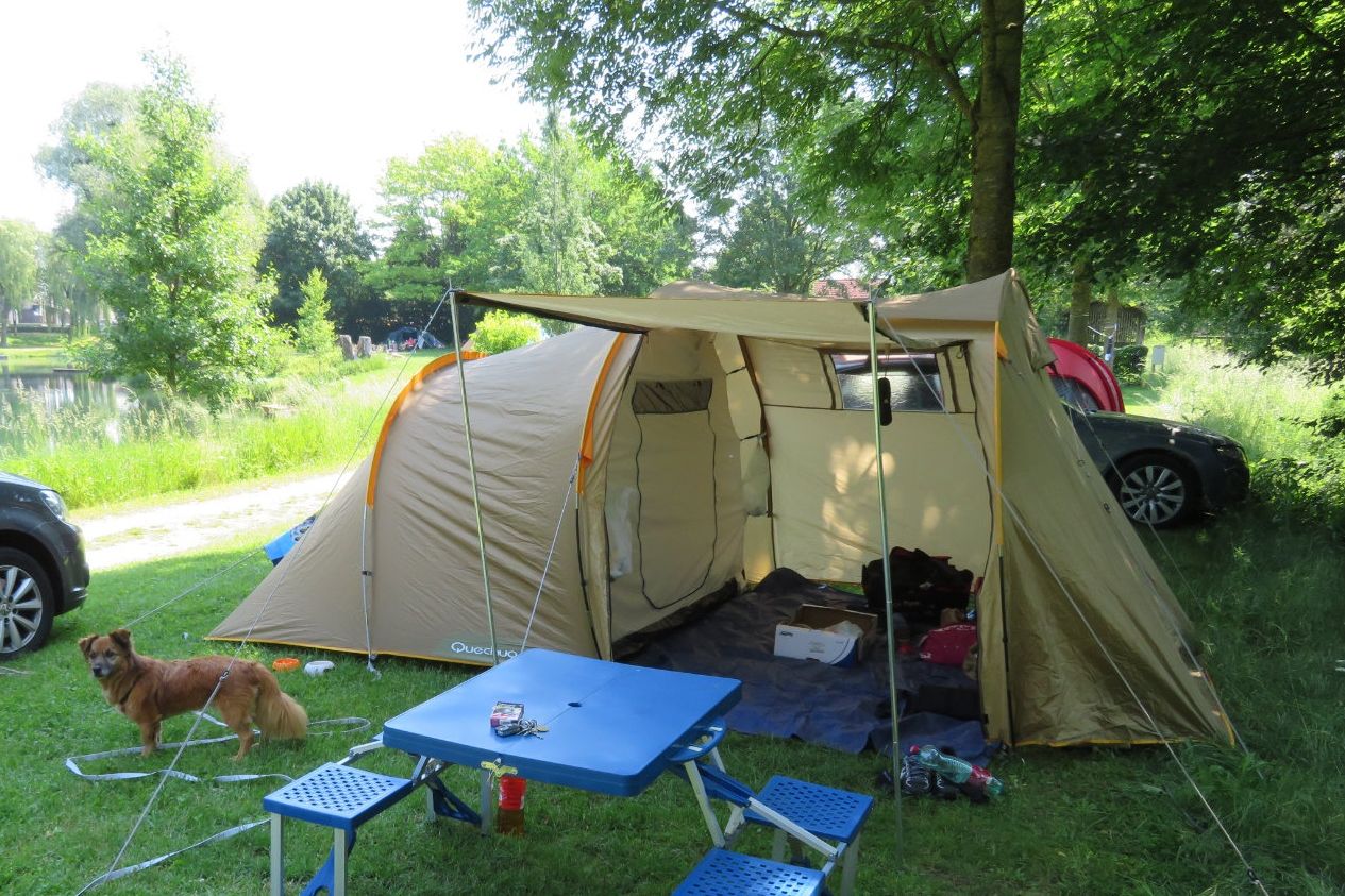 Camping mit Hund – das solltest du | Berger Blog - Berger