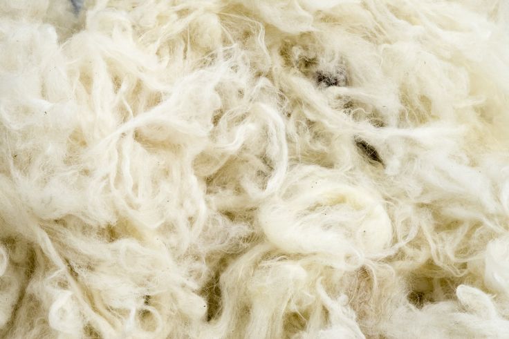 Die elastischen Fasern der Wolle machen den Schlafsack flauschig