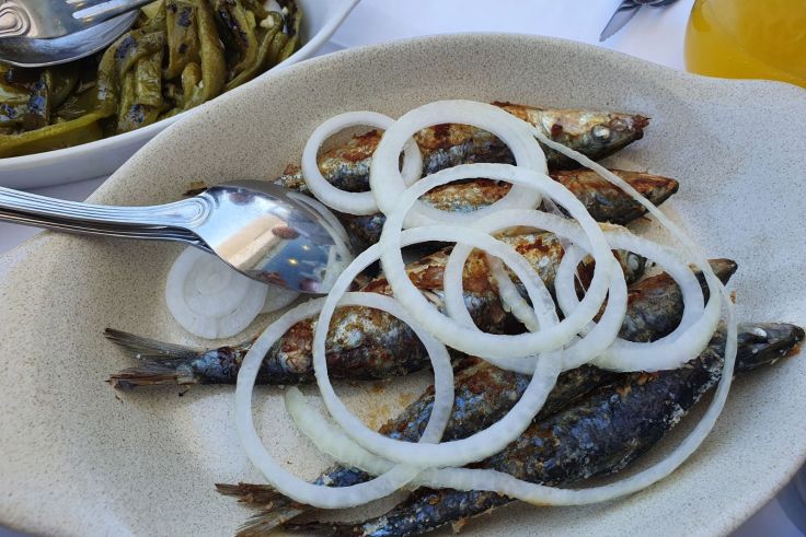Sardinen gelten als Delikatesse in Portugal. 