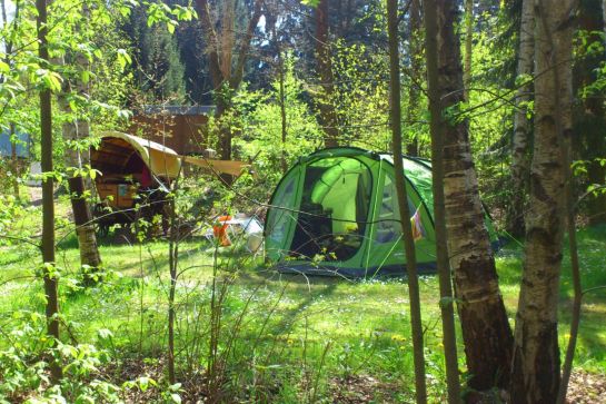 10 naturnahe Waldcampingplätze in Deutschland
