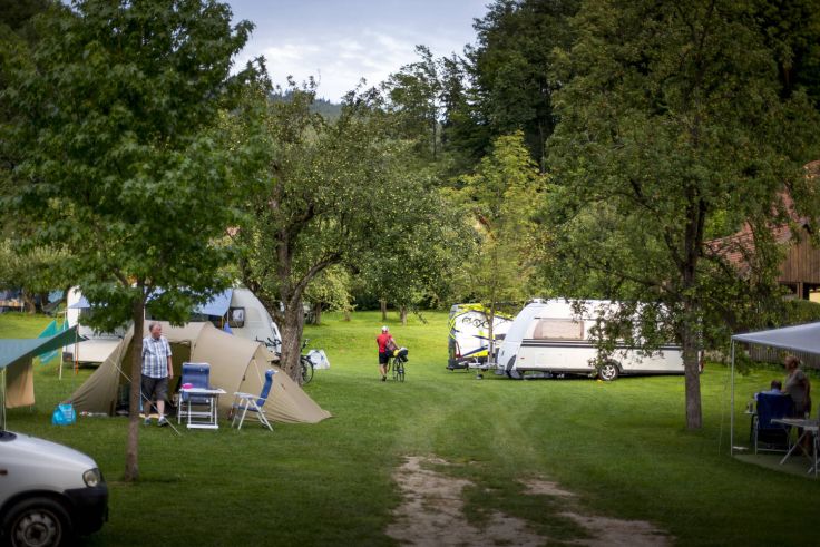 Auf dem Campingplatz Lanzmaierhof stehen Wohnwagen und Zelte idyllisch unter Bäumen. 